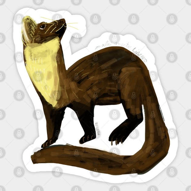 Fluffy Marten ( Martes martes) Sticker by belettelepink